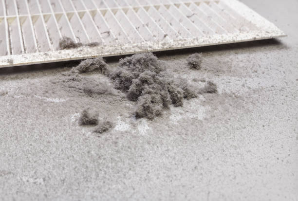 Best HVAC System Cleaning  in Crystal Lake, IL